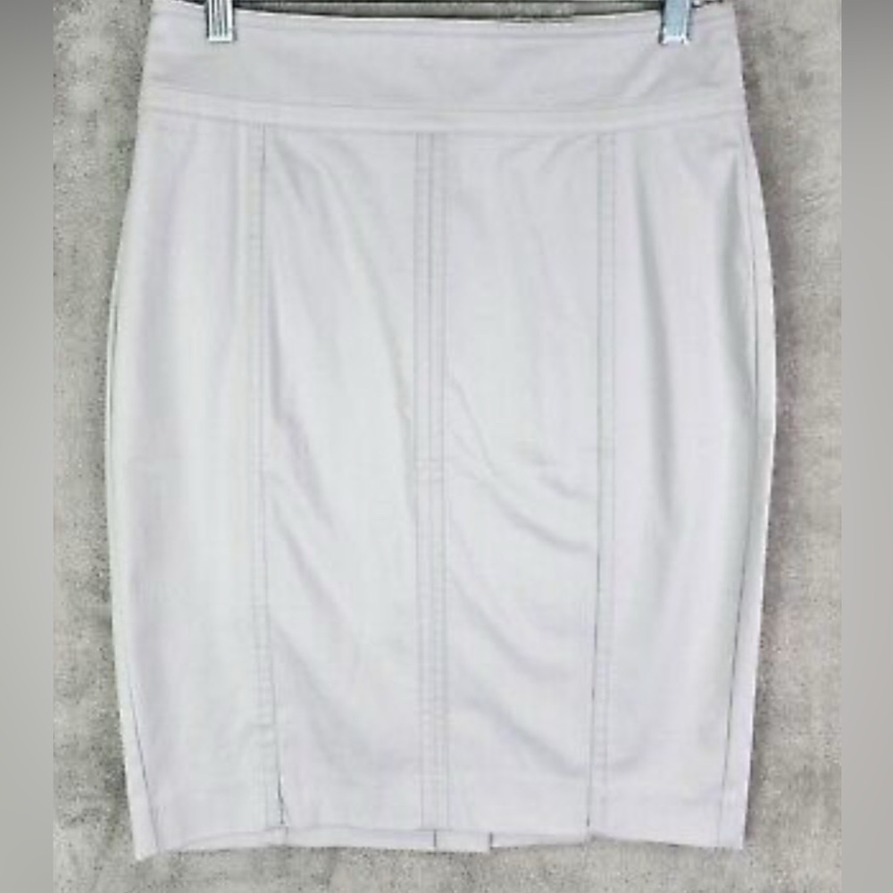 Ann Taylor Astor Pencil Skirt 🥰